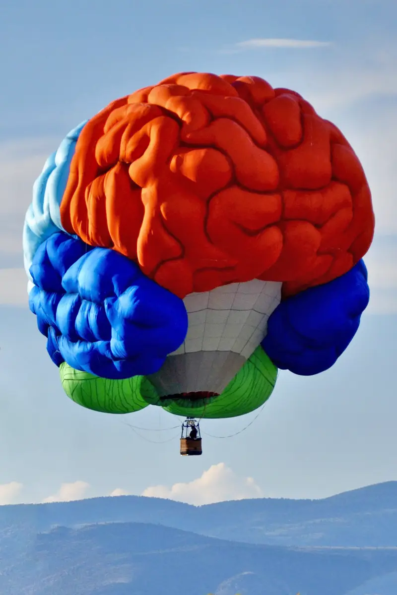 Brain Hot Air Balloon Montana.